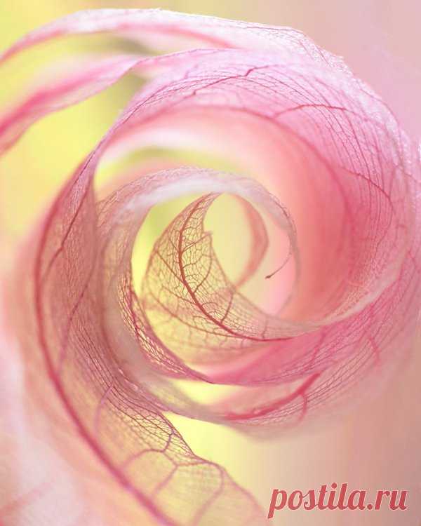Beautiful Photography by Shihya Kowatari | Art and Design