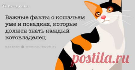 Лепешки на сметане + Рецепт Простого СДОБНОГО ТЕСТА со Сливочным Вкусом