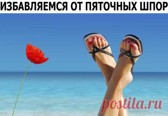 Часто люди просят помочь избавиться от пяточной шпоры и судорог ног. Хочу рассказать, как мне удалось с ними справиться. Более 40 лет назад от боли, вызванной пяточной шпорой, я не находил себе места. Врач назначил мне для ее устранения парафиновые прогревания, но они не приносили положительного результата. И вот как-то в гости ко мне приехала двоюродная сестра, работающая фельдшером в одной из деревень Подмосковья. Рассказал ей о своей беде. Она внимательно меня выслушала, а зтем посоветовала п