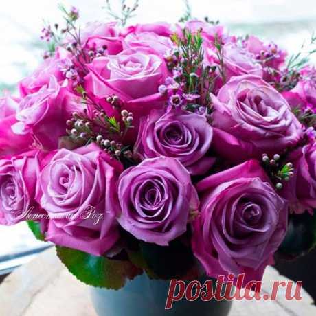 Доброго, сказочно прекрасного вам дня, друзья мои!