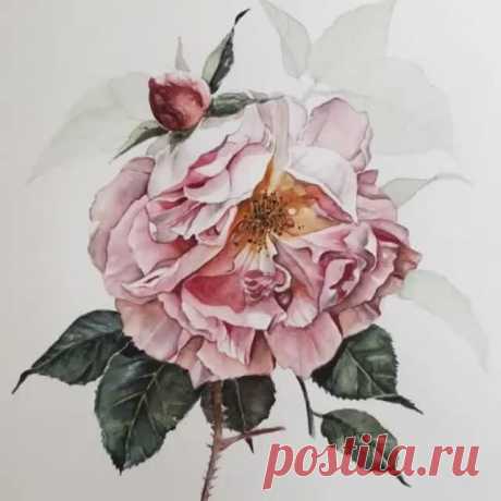 🎨 Watercolor blog @watercolor.blog Instagram profile - Mulpix