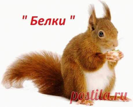 Вышивка крестом. Только цветные схемы! | ВКонтакте
