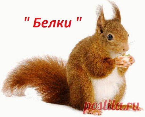 Вышивка крестом. Только цветные схемы! | ВКонтакте