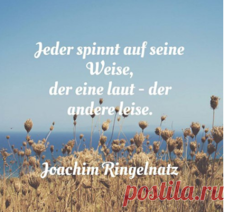 Поиск новостей по запросу #zitate_auf_deutsch