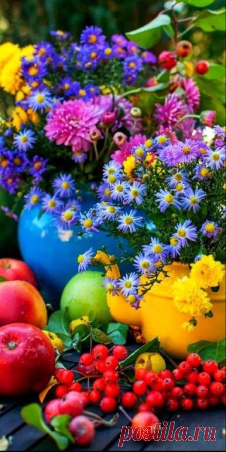 Сентябреет… Тихо сентябреет…
Ход Времён нельзя остановить…
Да и кто с Природой спорить смеет...
Сентябреет… так тому и быть....