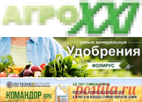 Взятие крови на исследования у мелкого рогатого скота - Общие вопросы - Агрофорум AgroXXI