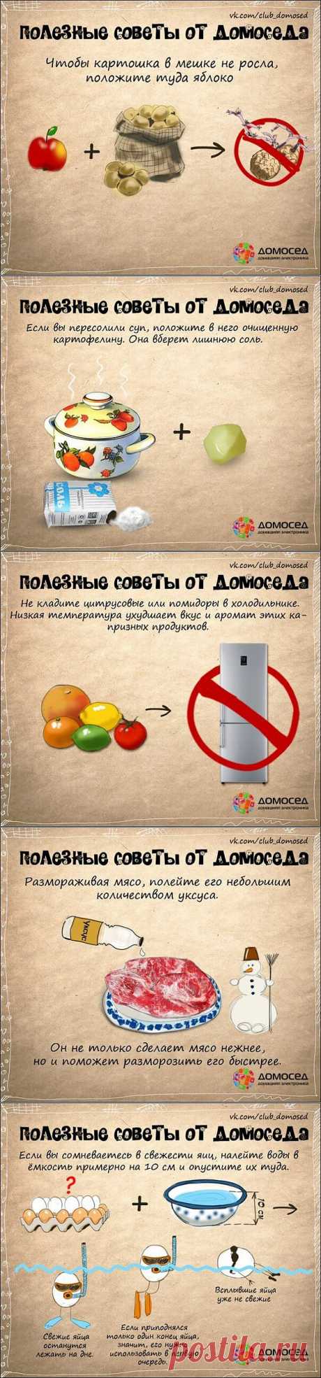 Хозяйке на заметку » Бяки.нет