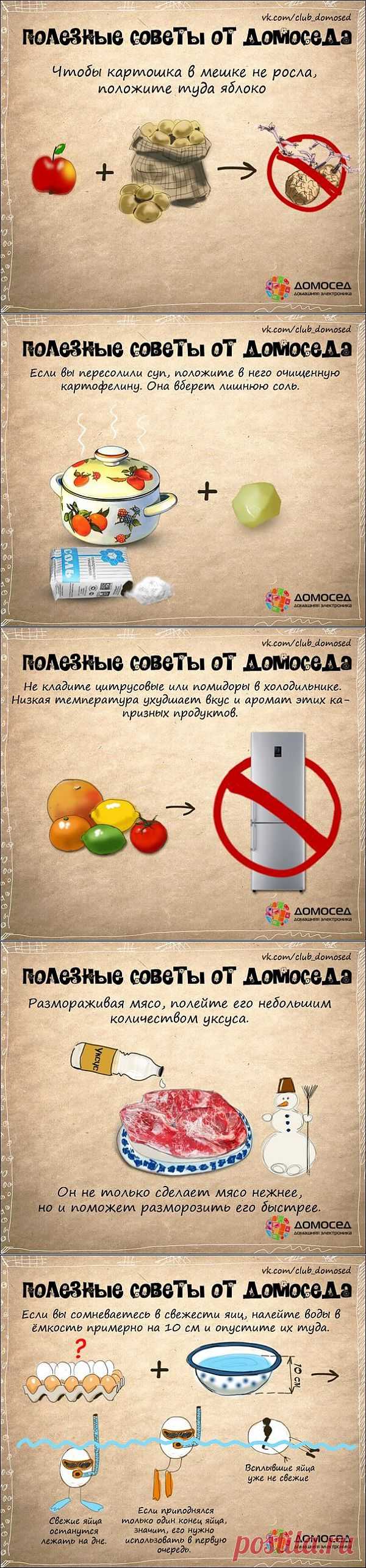 Хозяйке на заметку » Бяки.нет