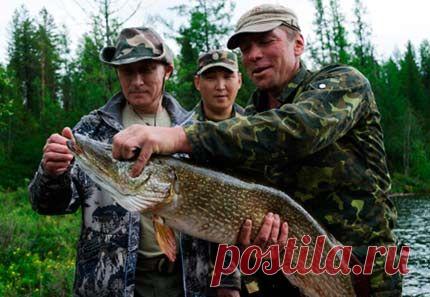 Рыбалка видео: «Царь-рыба» и щука Путина – где рыбачил и на что ловил на рыбалке в Туве