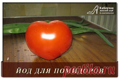 ЙОД ДЛЯ ПОМИДОРА