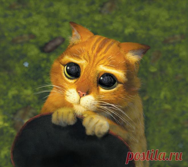 Как правильно просить прощения: 6 запретных слов . Милая Я