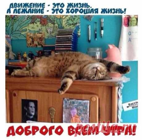 Фотография в альбоме «Разное»
