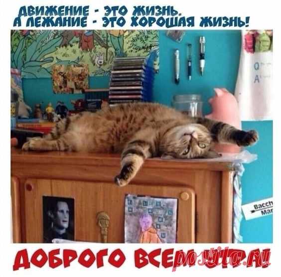 Фотография в альбоме «Разное»