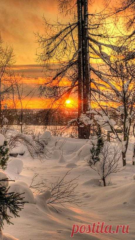 Galaxy S3 Wallpapers HD - Beautiful, stunning wallpapers   |  Pinterest • Всемирный каталог идей