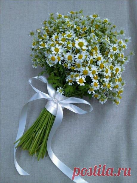 i (736×980)