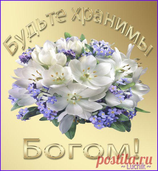 Favorites часть 2 | Фотографии Алексей ******* | 7793 фото