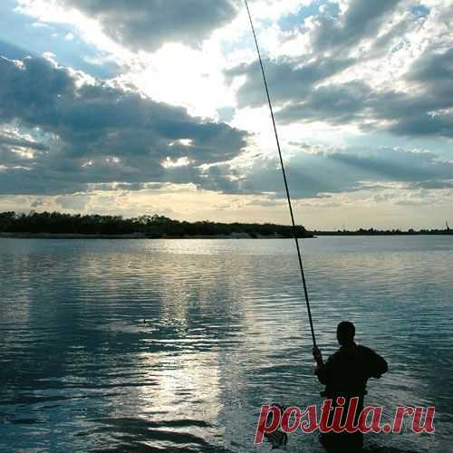 Позитивно-умилительный пост. Детки и собаки