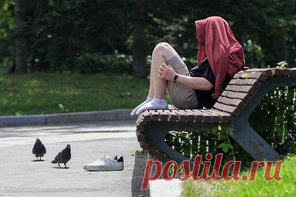 Уходящий год назвали одним из самых теплых в истории