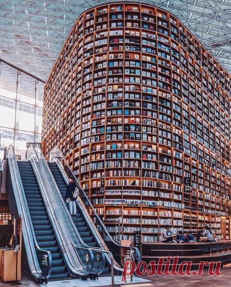 Mega book store in Seoul, South Korea. - 9GAG Книжный магазин Mega в Сеуле