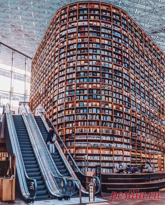 Mega book store in Seoul, South Korea. - 9GAG   Книжный магазин Mega в Сеуле