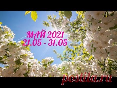 Таро Прогноз на Май 2021  (период с 21 по 31 мая  2021 года) Расклад на   Оракуле Симболон