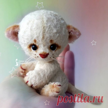 Которебёнок) Сделаю и играюсь с ними😄Такие ,блин,няшные😻 #самасебянепохвалишь  #отскромностинеумру
#ирискин_котеныш 
#тедди
#котенок 
#тэддикот