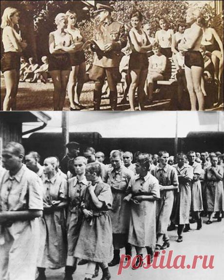 Проституция в Третьем рейхе | Любители истории