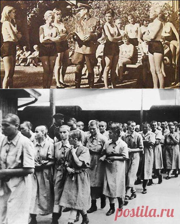 Проституция в Третьем рейхе | Любители истории