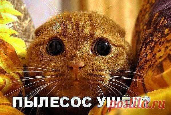 ...или ещё здеееесь???? 8)