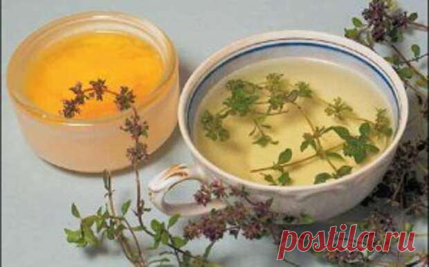 Манжетка прогонит застарелый кашель | Краше Всех Мой дед любые болезни всегда лечил только народными средствами, используя отвары, настойки на травах. Но он много курил, пока врачи категорически не запретили это делать, предрекая эмфизему легких.