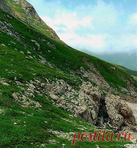 В летнем кафтане зелёном... - Любители природы. — я.ру