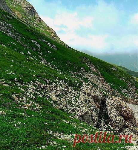 В летнем кафтане зелёном... - Любители природы. — я.ру