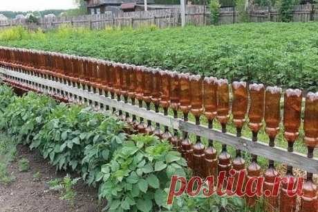 И заборчик симпатичный, и бутылки использованные в дело!