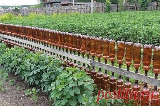 И заборчик симпатичный, и бутылки использованные в дело!