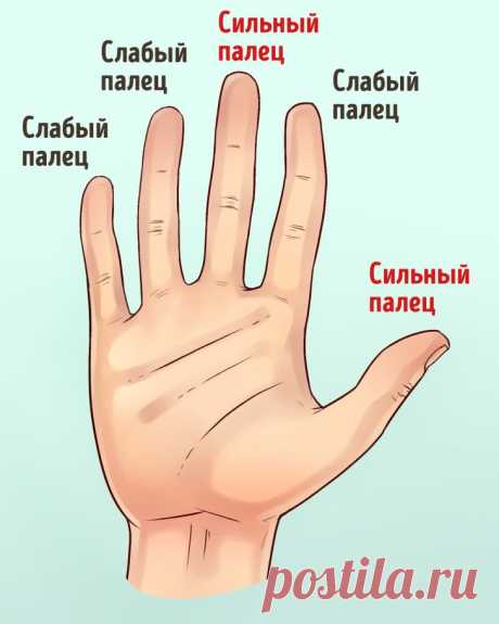 Ваши руки могут многое рассказать о вашем характере