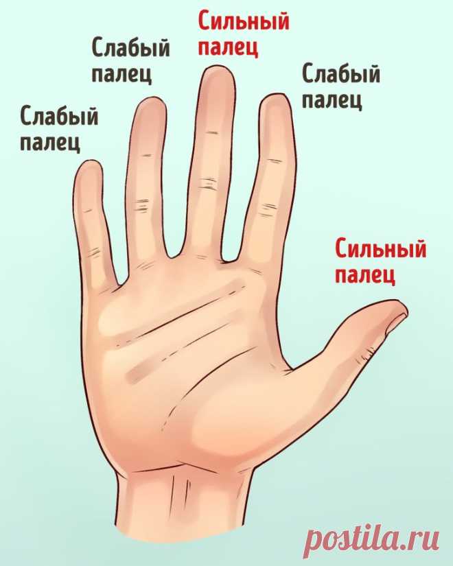 Ваши руки могут многое рассказать о вашем характере