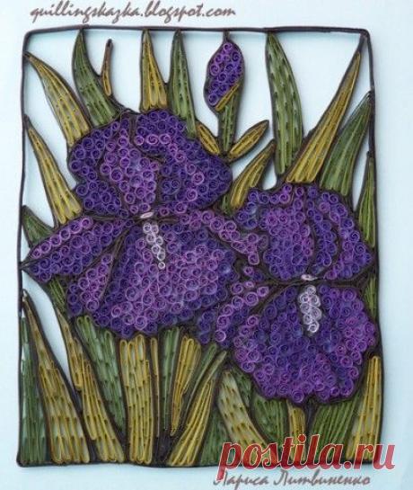 ИРИСЫ. | Страна Мастеров