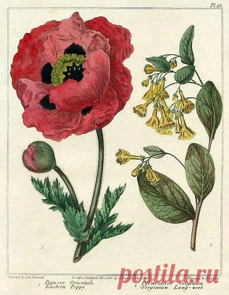 Найдено на сайте stilllifequickheart.tumblr.com.