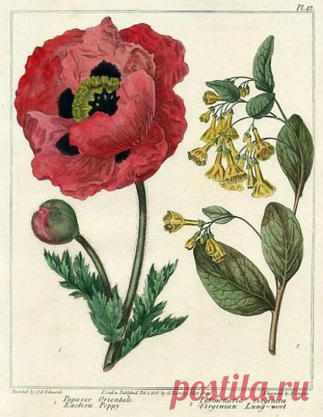 Найдено на сайте stilllifequickheart.tumblr.com.