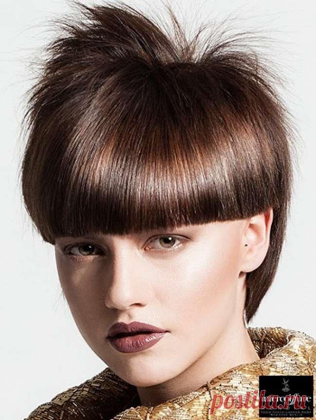 Модные женские стрижки на короткие волосы 2016-2017 года: тенденции с фото новинками