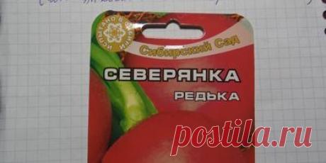 Журнал садовода VeraTyukaeva / 7dach.ru