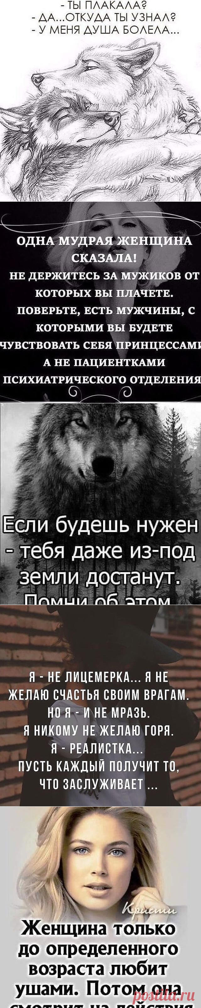 Цитаты💡Психология📕Мотивация🧠 (@motivatsiya_na_uspeh) • Фото и видео в Instagram