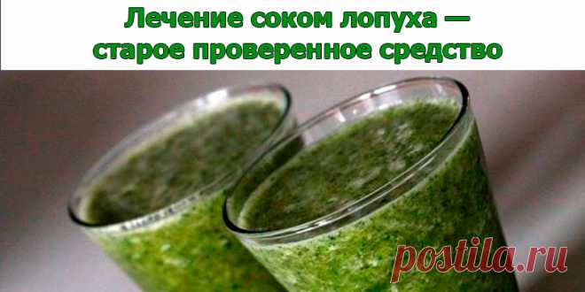 Лечение соком лопуха — старое проверенное средство | Полезные советы