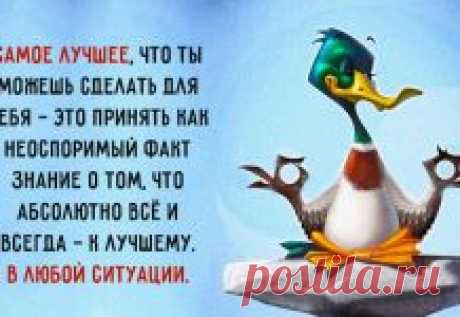 Как элегантно и умело завязать палантин, шарф, платок
