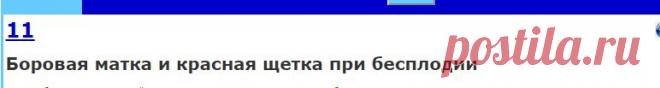 Боровая матка и красная щетка при бесплодии