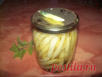 Консервированная стручковая фасоль