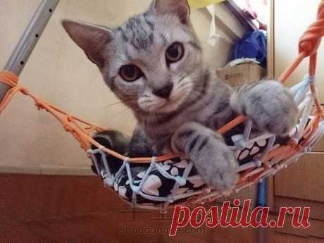 ​Гамак для кошки
