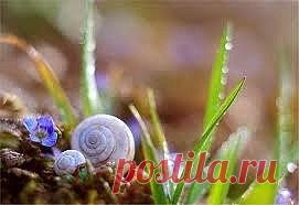 Вы бы поняли... насколько вы яркие и красивые... если бы увидели 
себя в те моменты... когда вы действительно счастливы и любимы...