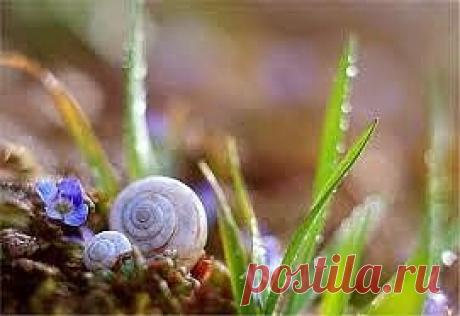 Вы бы поняли... насколько вы яркие и красивые... если бы увидели 
себя в те моменты... когда вы действительно счастливы и любимы...