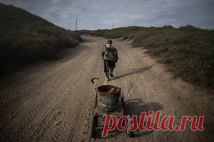 Догадку советского ученого о древнем поселении зверобоев подтвердили в России. Догадку советского этнографа и лингвиста Михаила Членова о древнем поселении эскимосов-зверобоев на Чукотке подтвердили. Об этом сообщает портал «ИА Чукотка». По данным издания, работавшая в 2023 году в этом российском регионе экспедиция обнаружила на косе южнее мыса Аннюалькаль поселение, основанное тысячу лет назад.